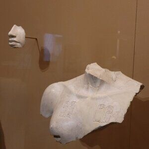 Meet your Posher, Savvy